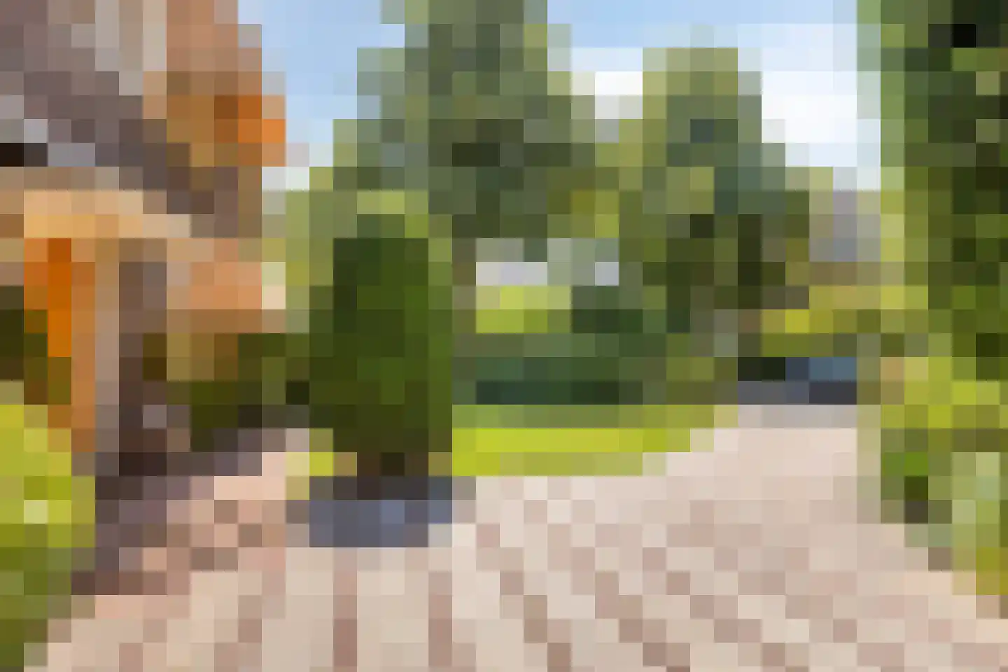 Tromplaan 2 Velp thumbnail 39