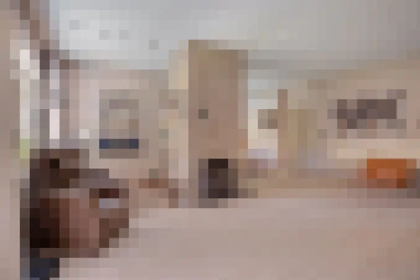 Tromplaan 2 Velp thumbnail 4