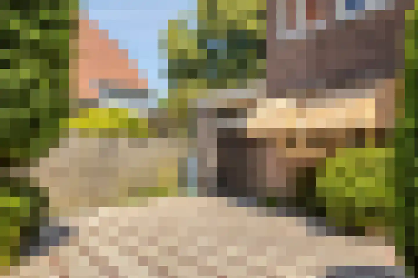 Tromplaan 2 Velp thumbnail 40