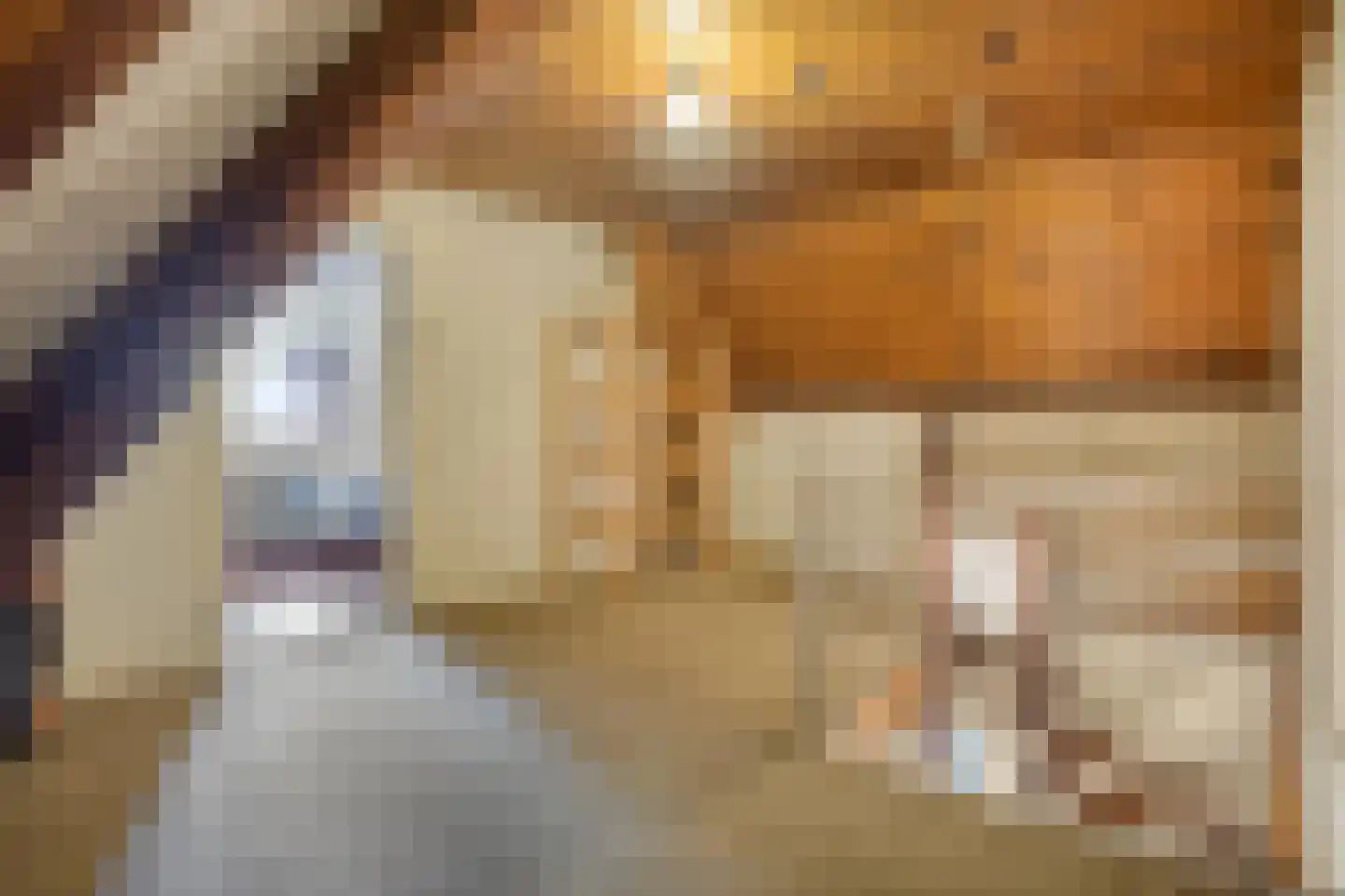 Tromplaan 2 Velp thumbnail 41