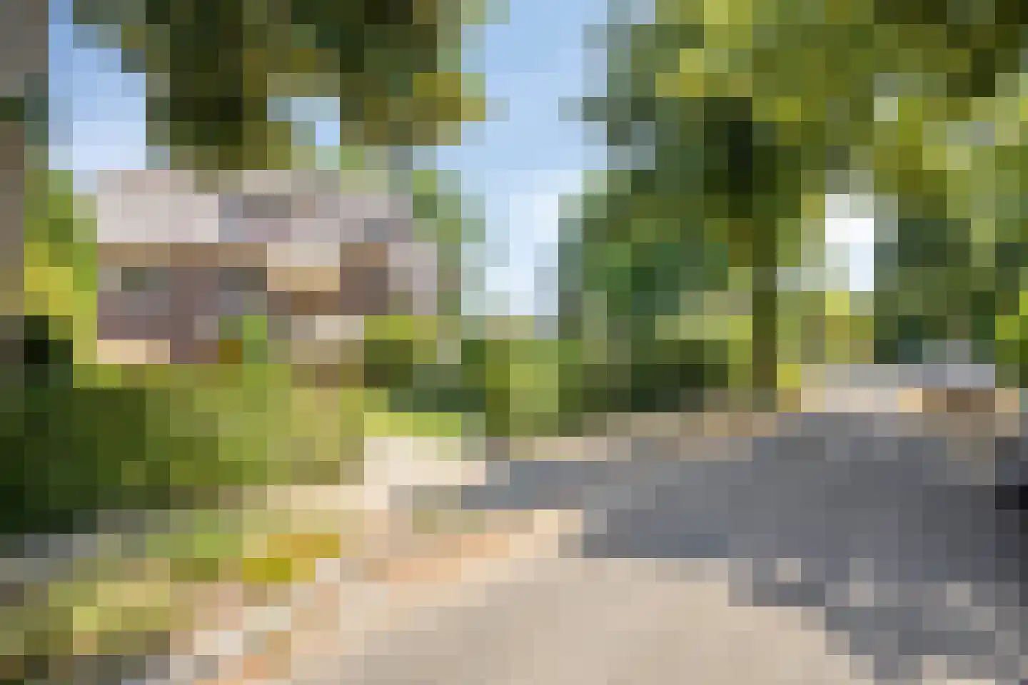Tromplaan 2 Velp thumbnail 43