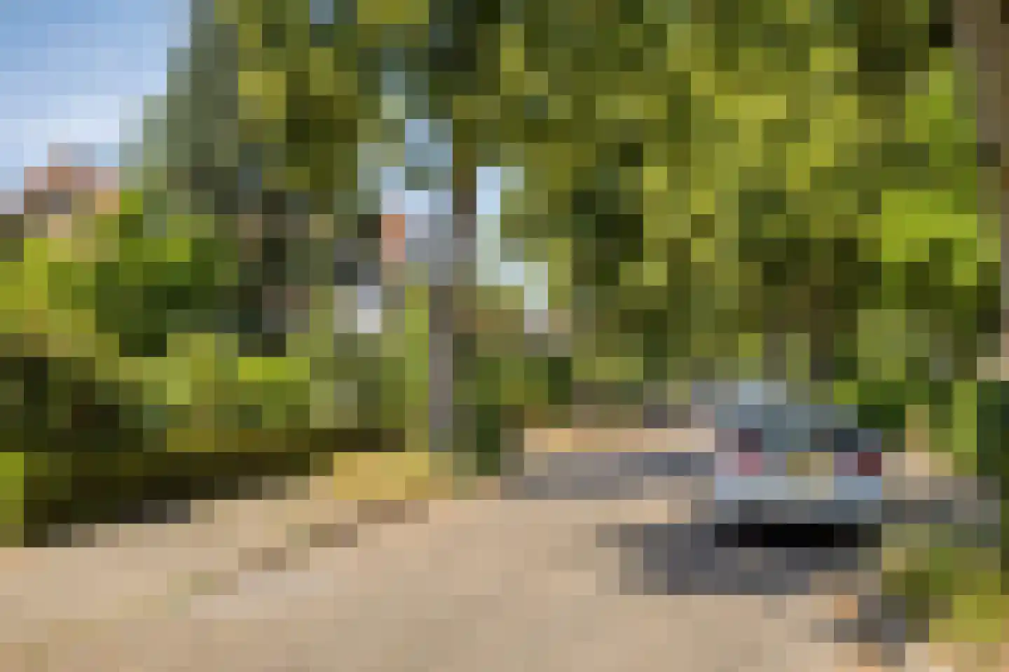 Tromplaan 2 Velp thumbnail 45