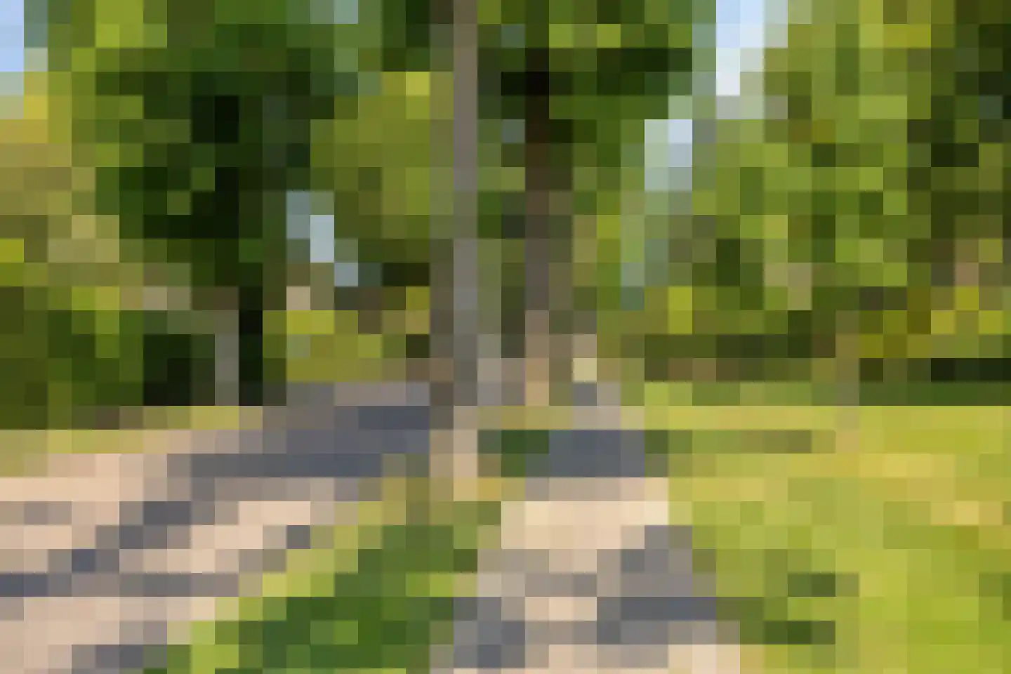 Tromplaan 2 Velp thumbnail 46
