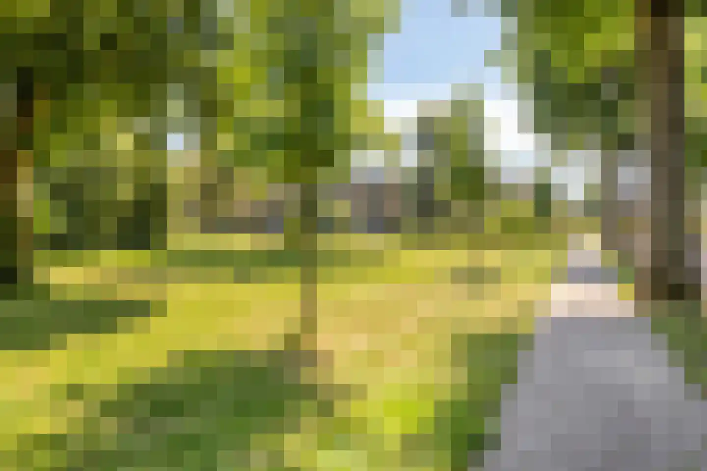 Tromplaan 2 Velp thumbnail 47