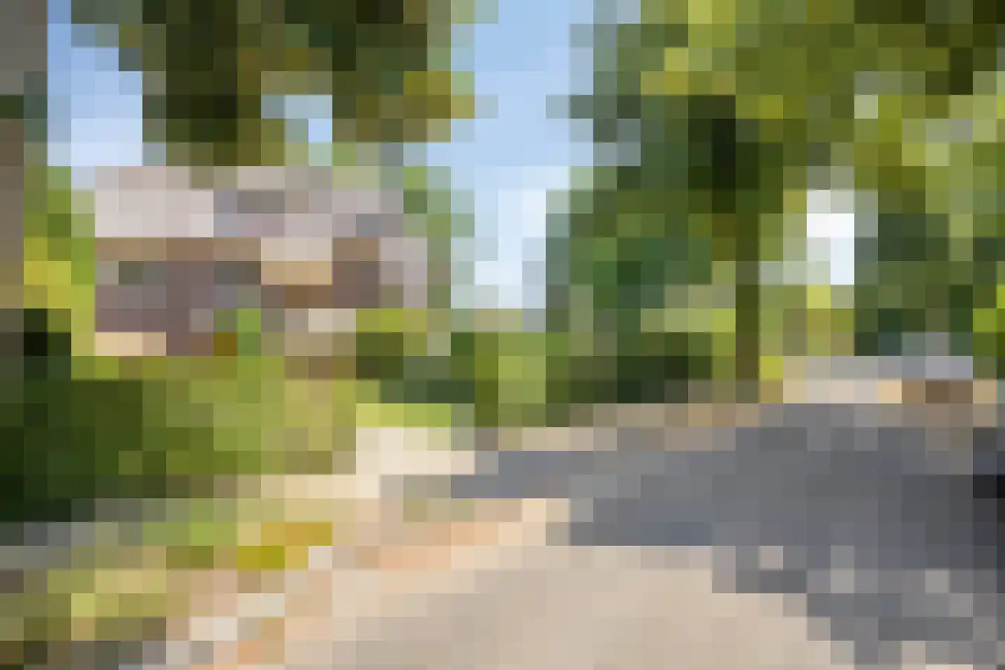 Tromplaan 2 Velp thumbnail 47