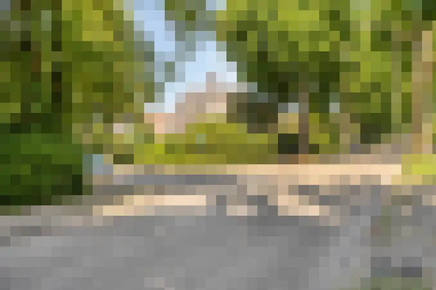 Tromplaan 2 Velp thumbnail 48