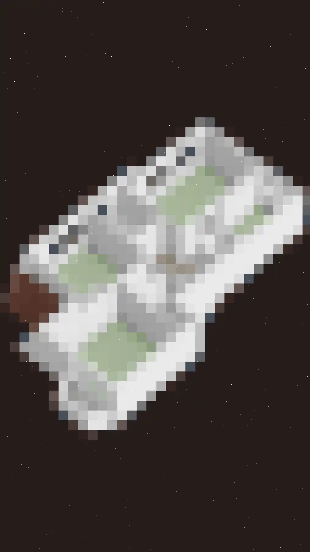 Tromplaan 2 Velp thumbnail 51
