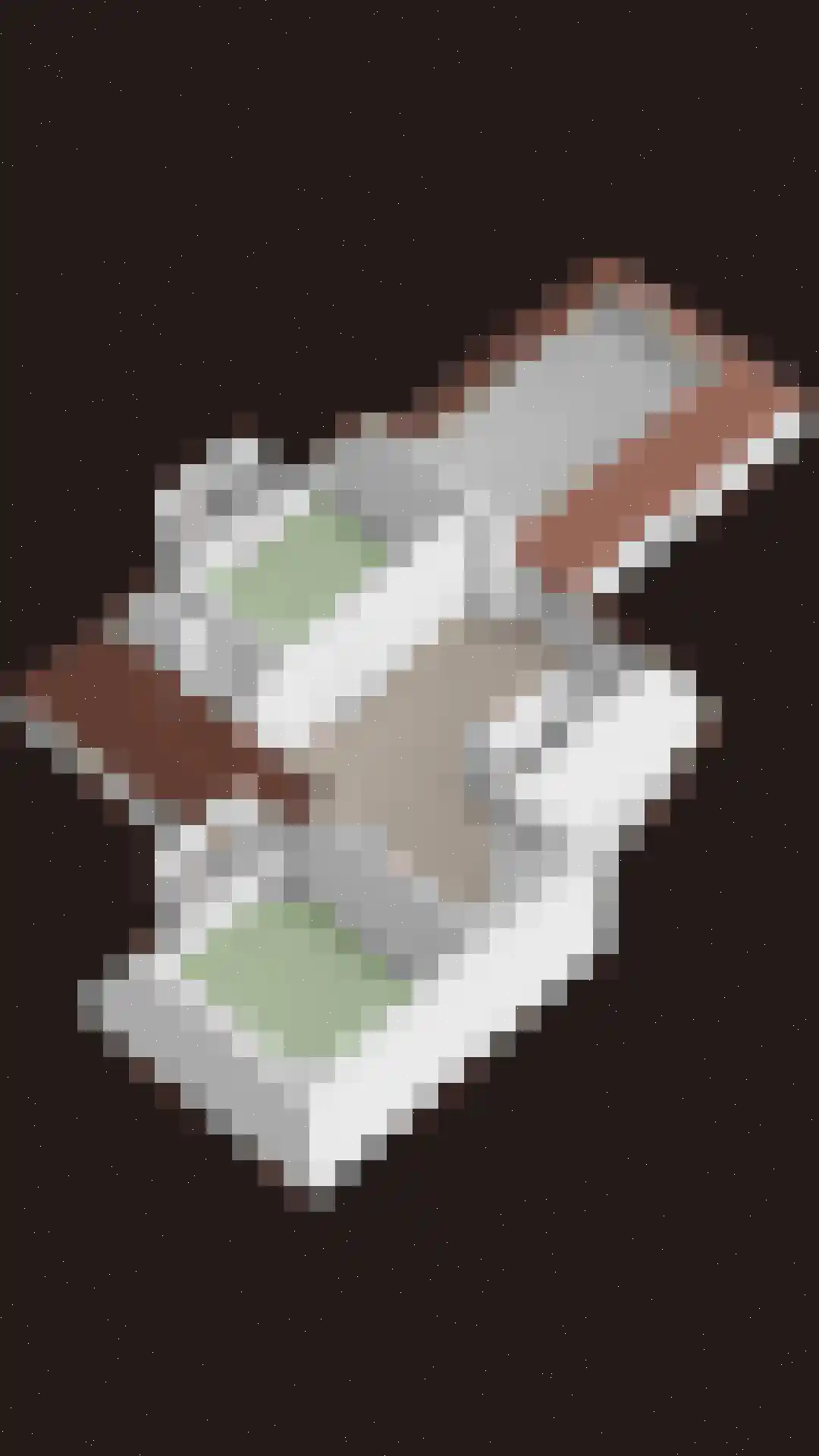 Tromplaan 2 Velp thumbnail 52