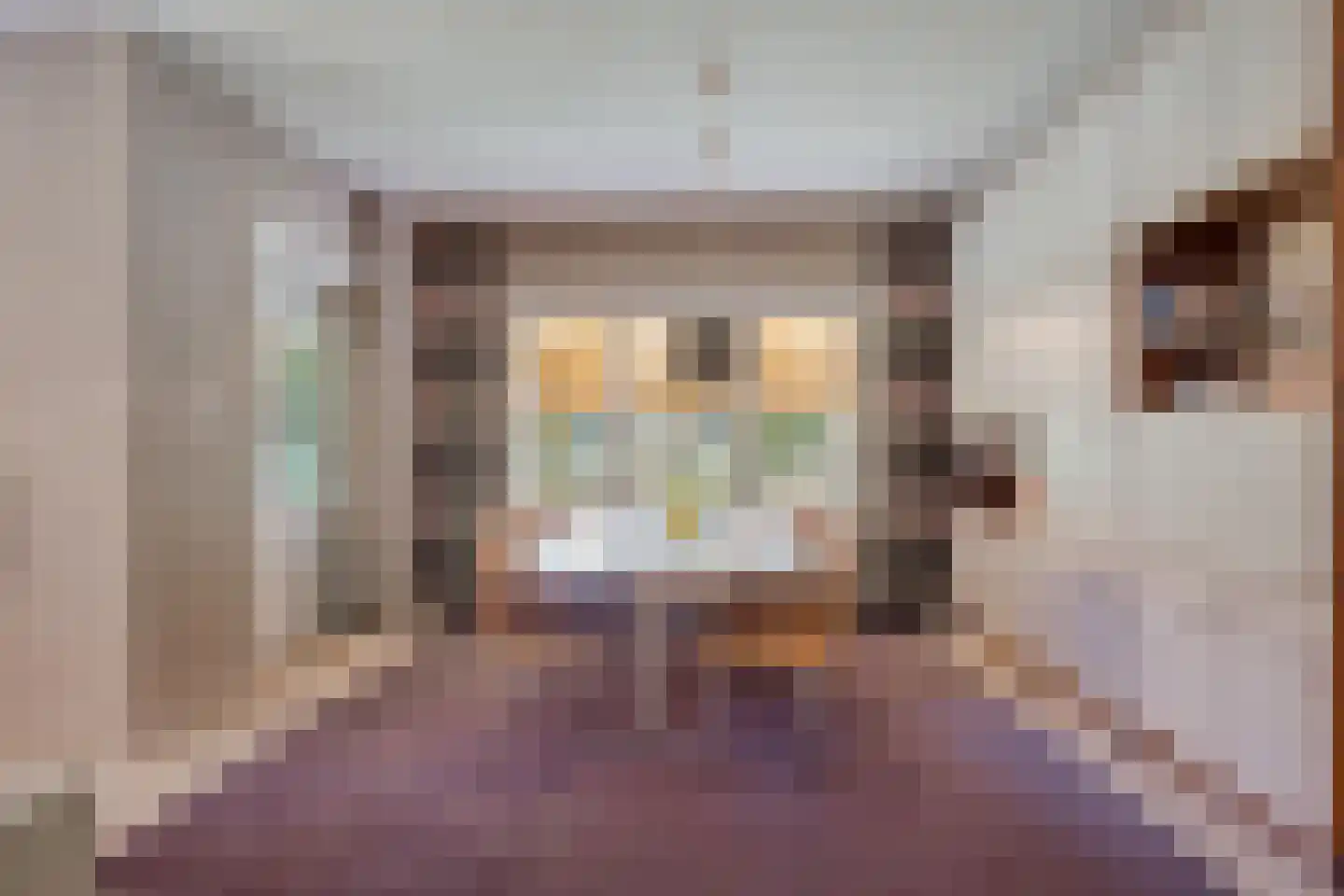 Tromplaan 2 Velp thumbnail 6