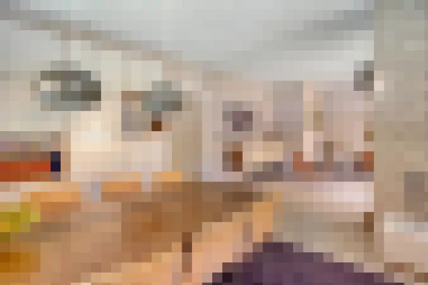 Tromplaan 2 Velp thumbnail 7