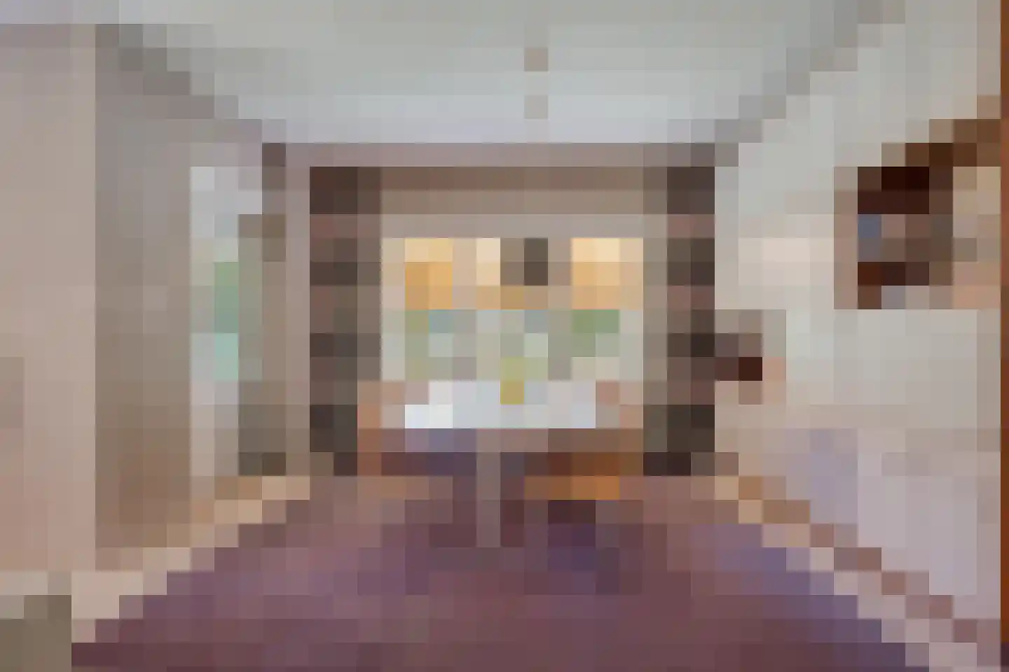 Tromplaan 2 Velp thumbnail 7