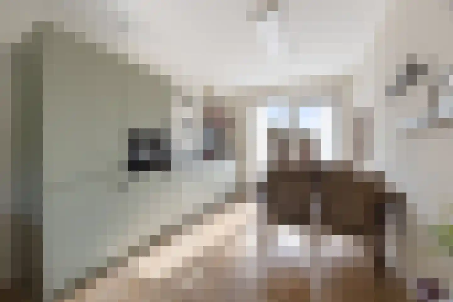 Tromplaan 2 Voorthuizen thumbnail 10