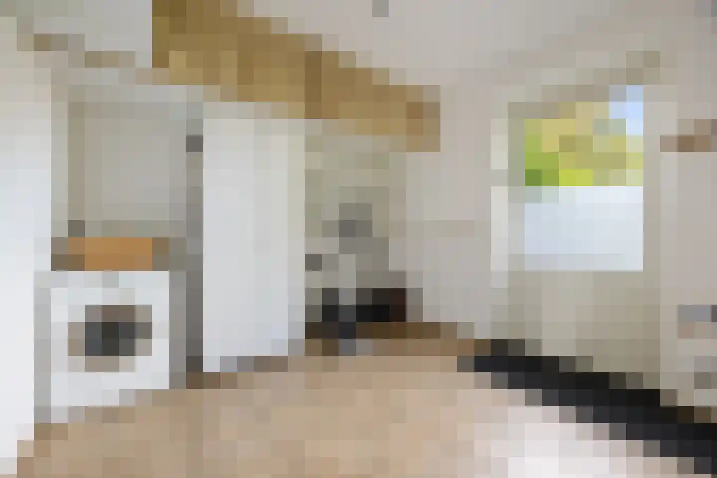 Tromplaan 2 Voorthuizen thumbnail 16