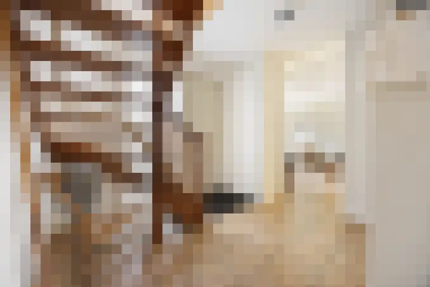 Tromplaan 2 Voorthuizen thumbnail 18
