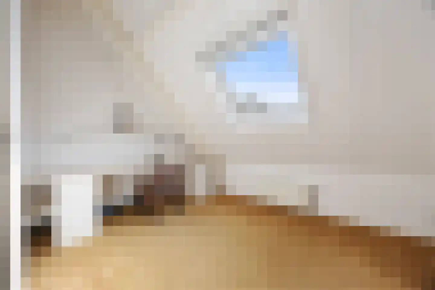 Tromplaan 2 Voorthuizen thumbnail 23