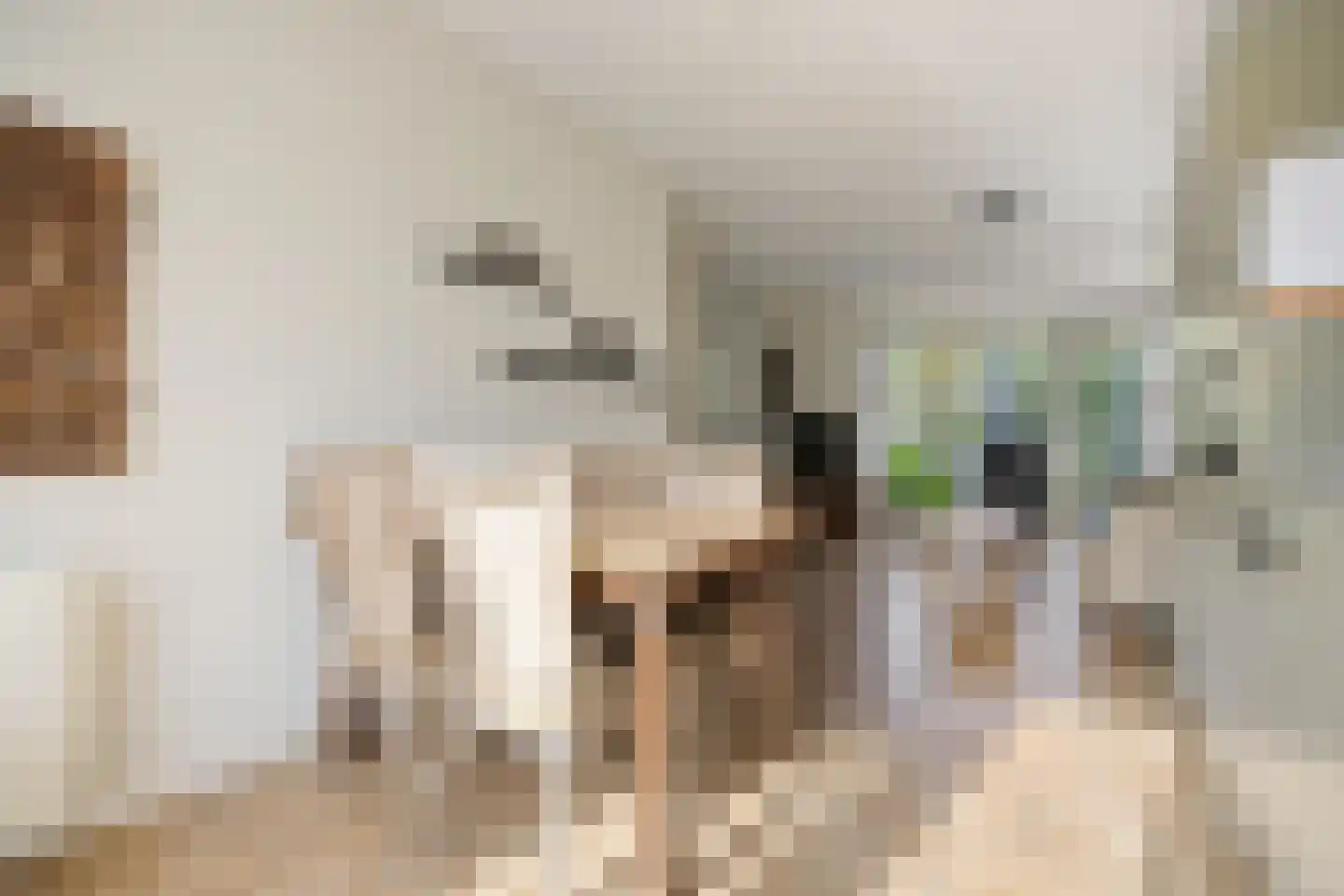 Tromplaan 2 Voorthuizen thumbnail 9