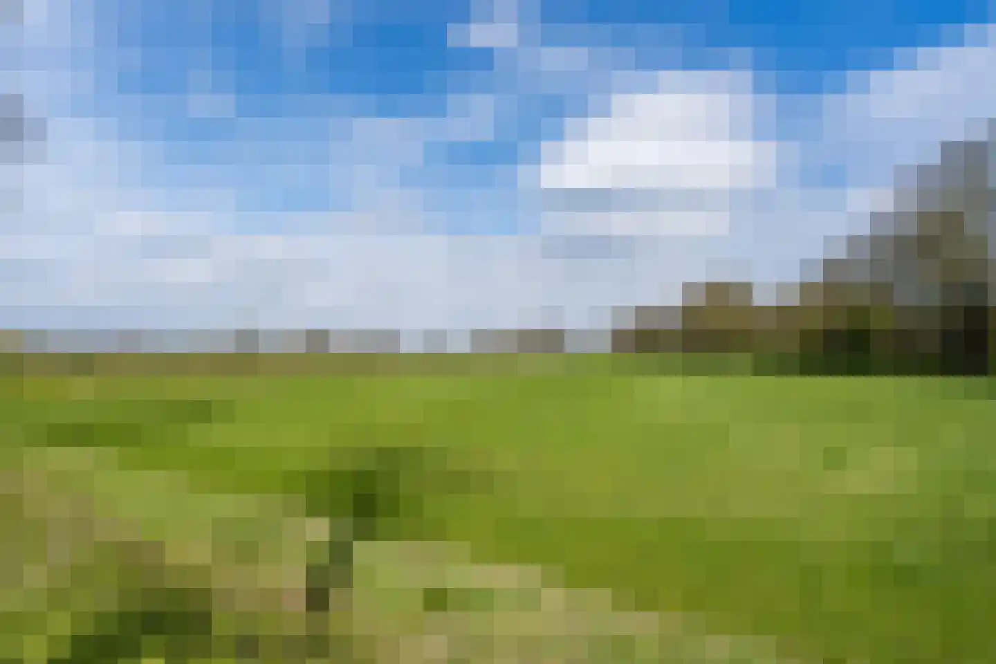 Tromplaan 2 Weert thumbnail 46