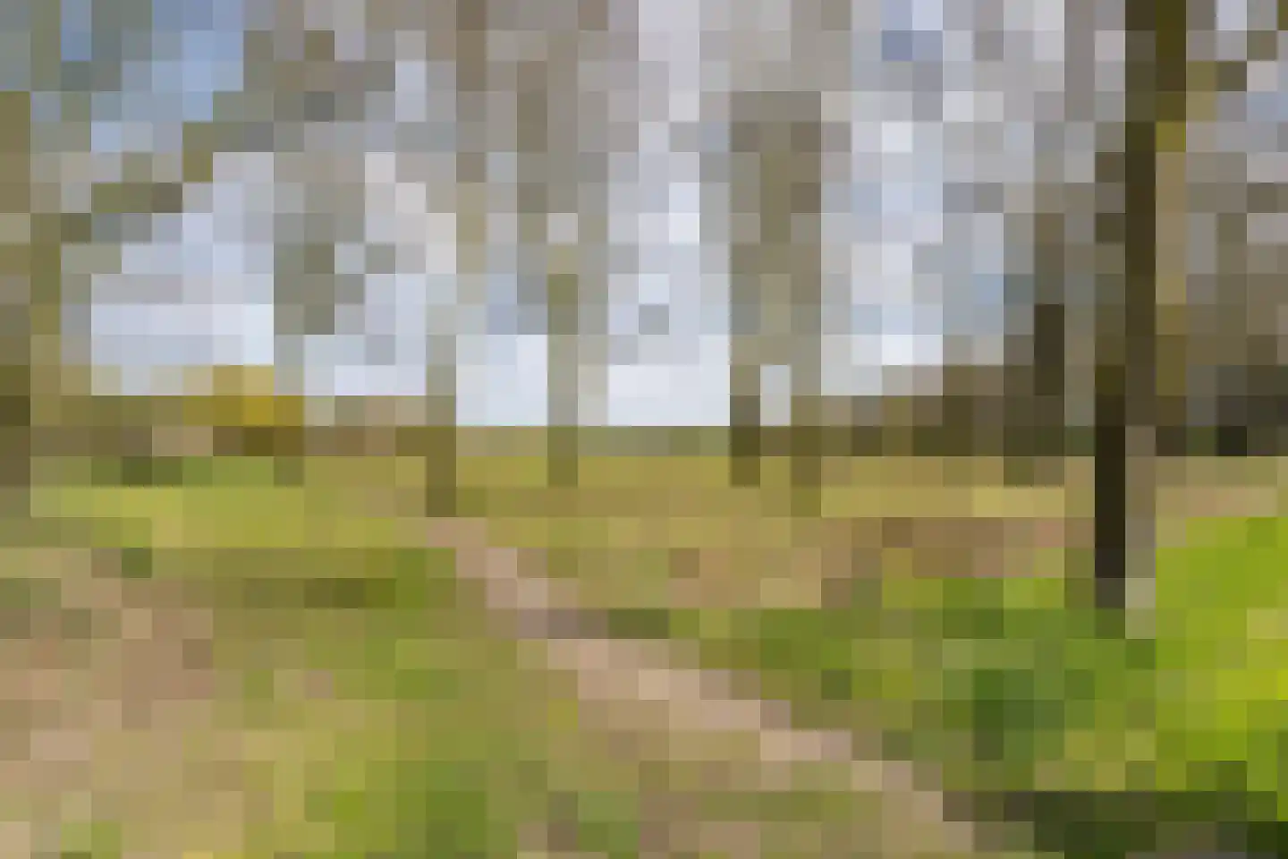 Tromplaan 2 Weert thumbnail 47