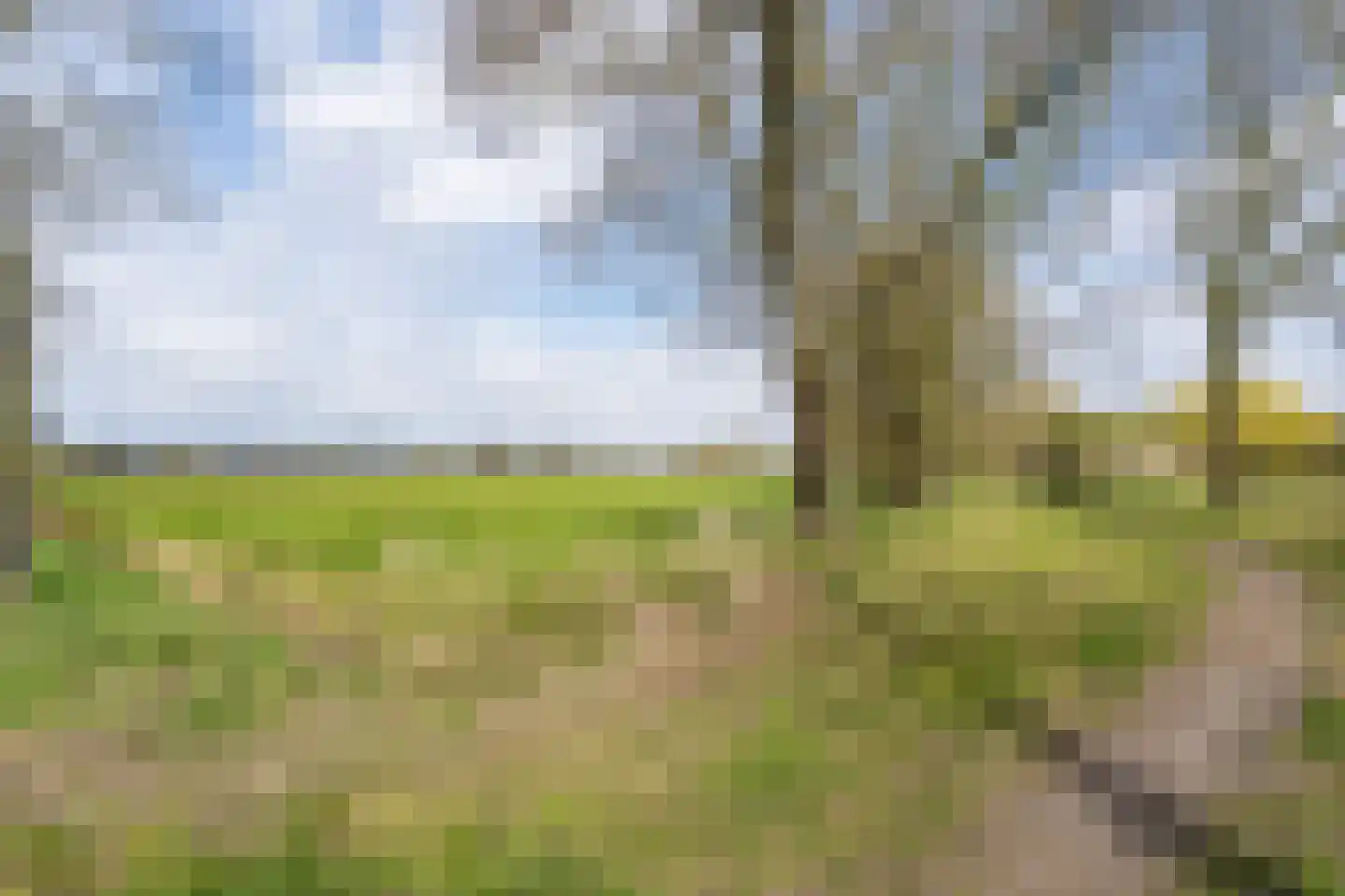 Tromplaan 2 Weert thumbnail 48
