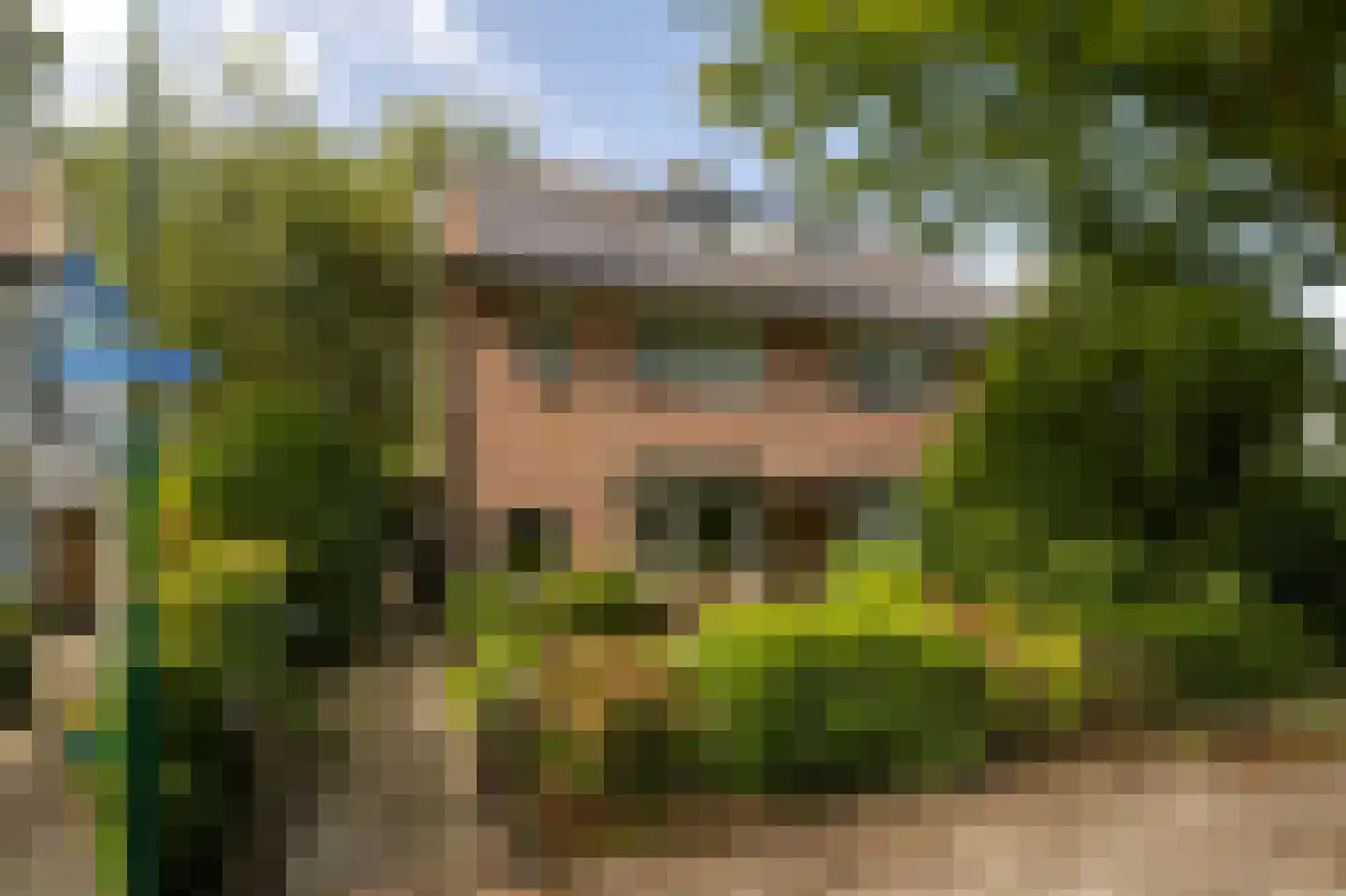Tromplaan 28 Baarn