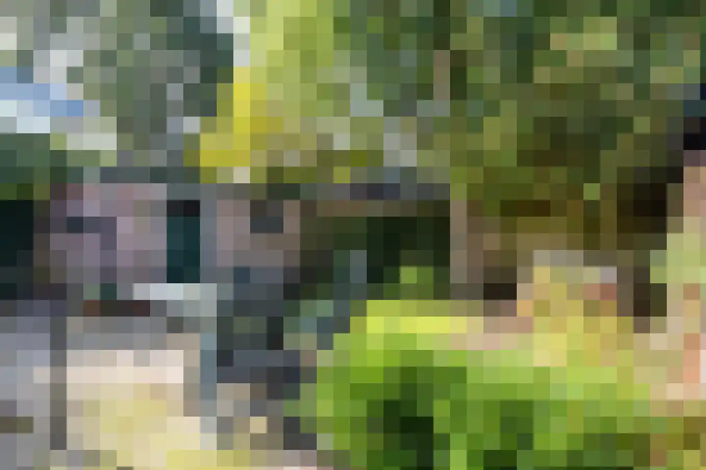 Tromplaan 28 Baarn thumbnail 26
