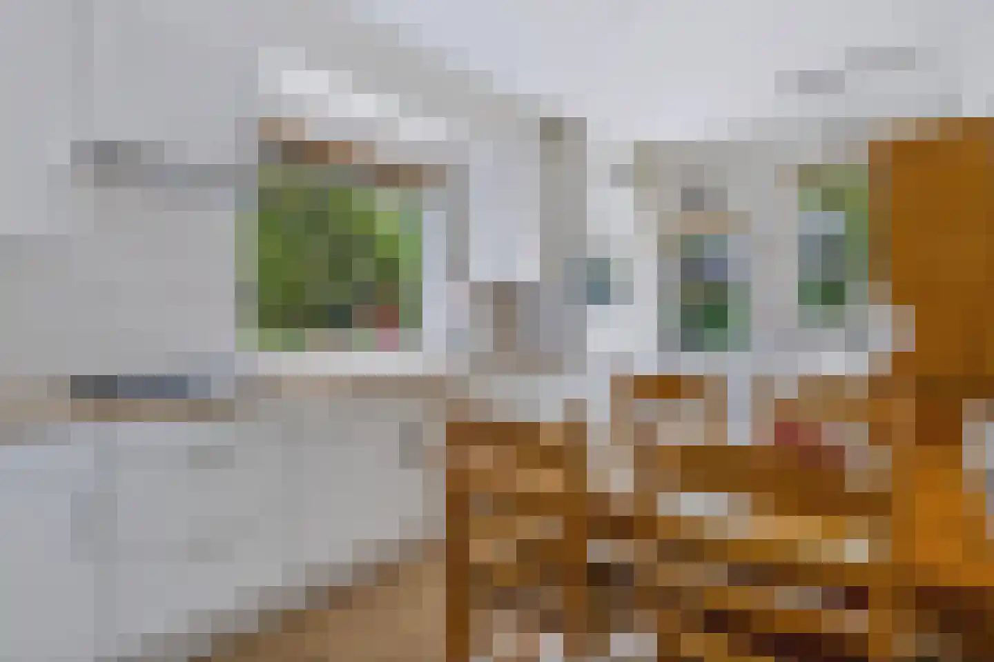 Tromplaan 28 Baarn thumbnail 9