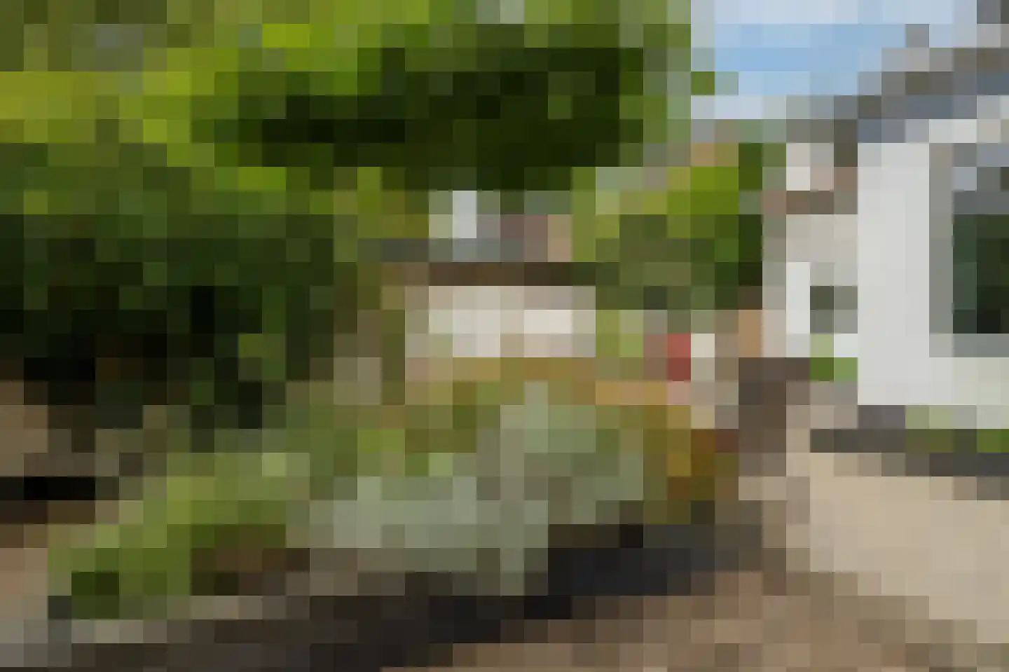 Tromplaan 30 Baarn thumbnail 24