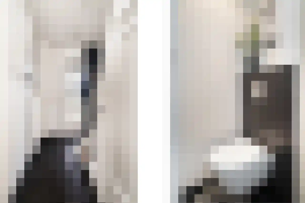 Tromplaan 4 Breda thumbnail 10