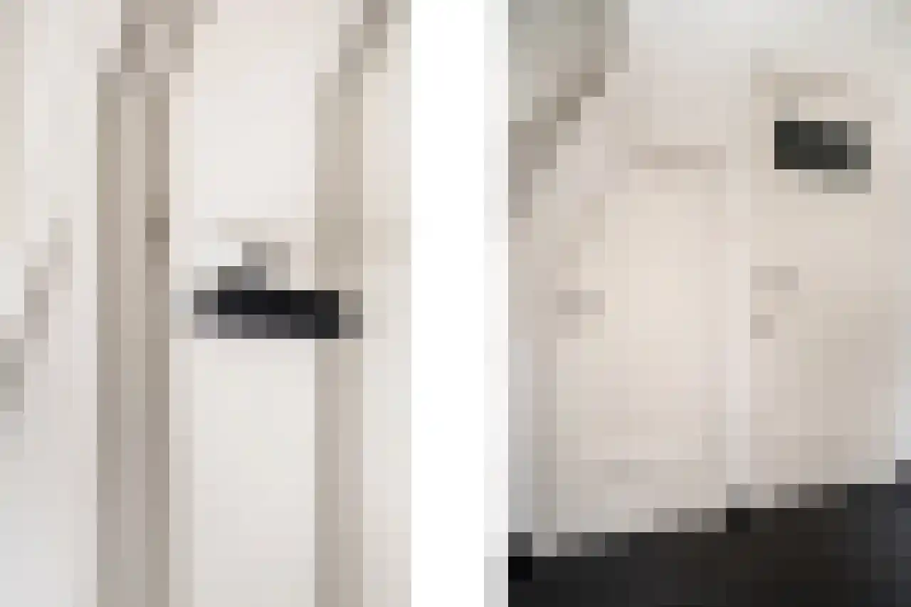 Tromplaan 4 Breda thumbnail 11