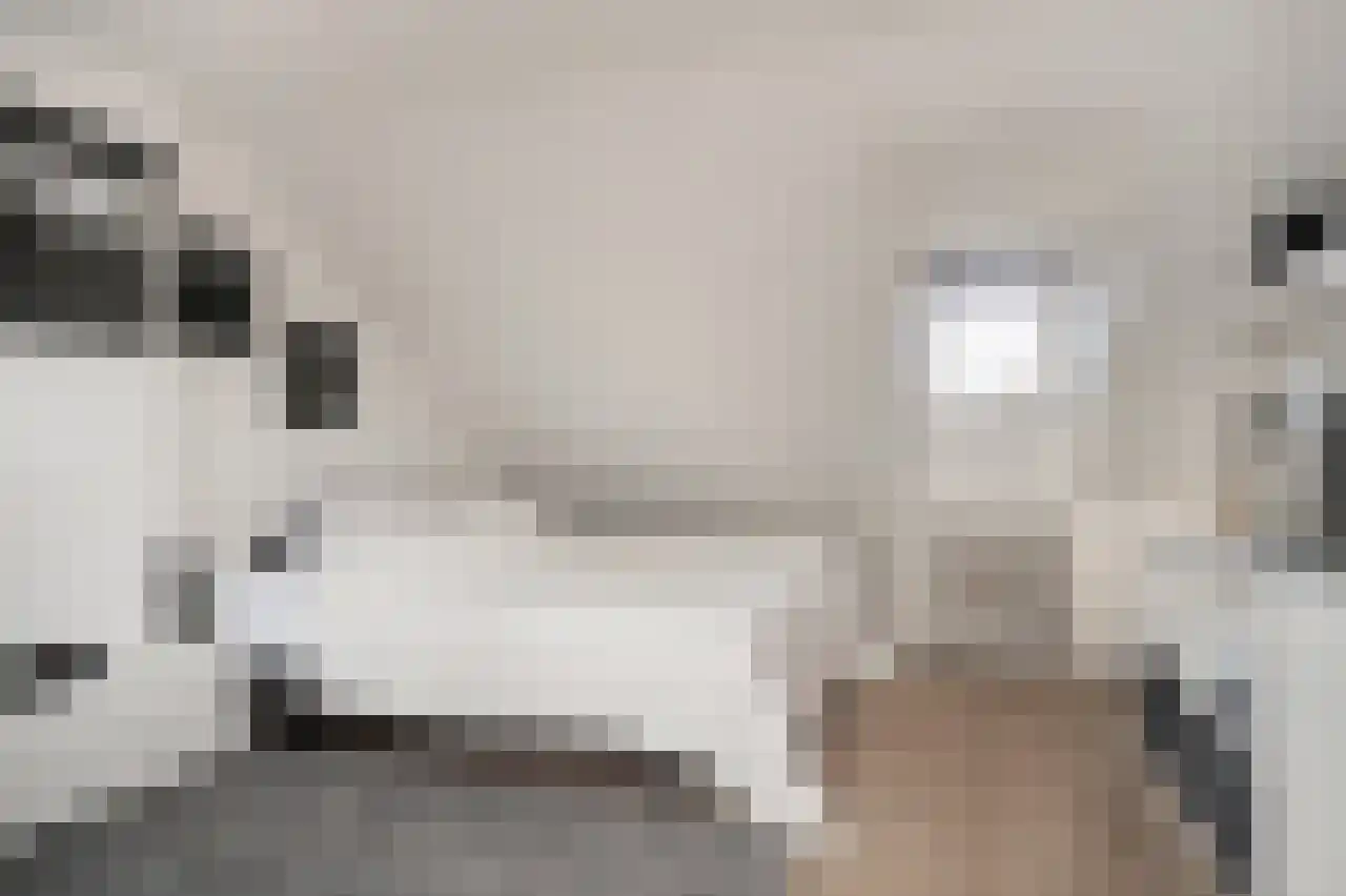Tromplaan 4 Breda thumbnail 23