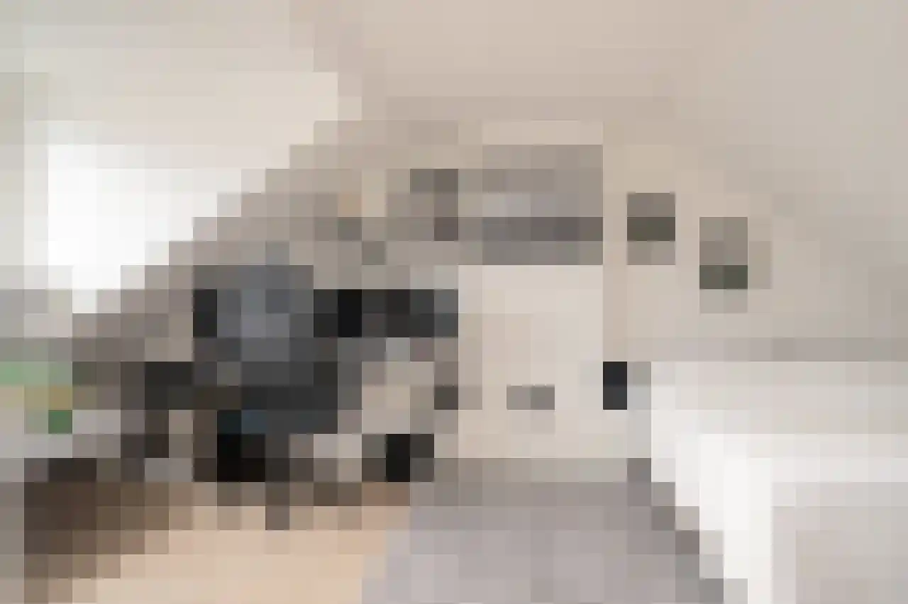 Tromplaan 4 Breda thumbnail 25
