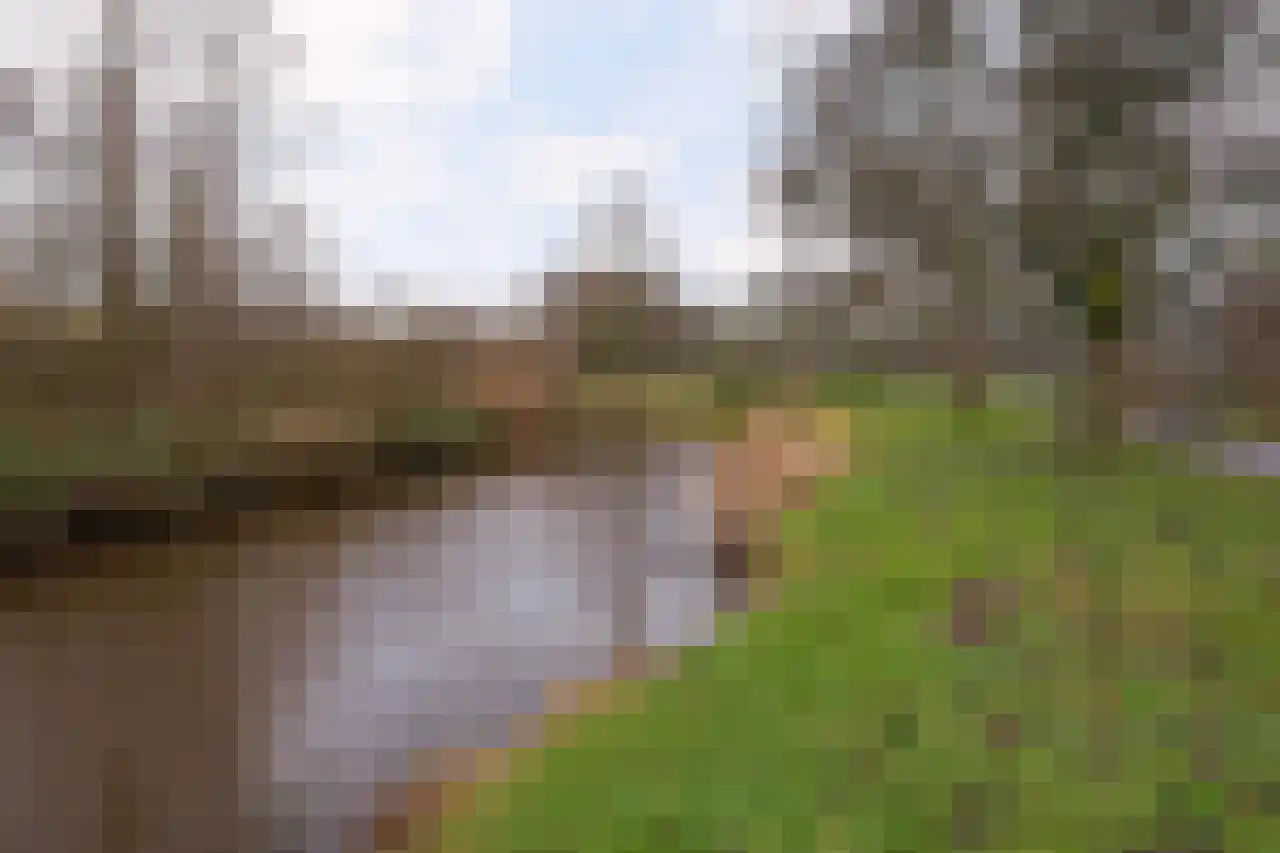 Tromplaan 4 Breda thumbnail 37