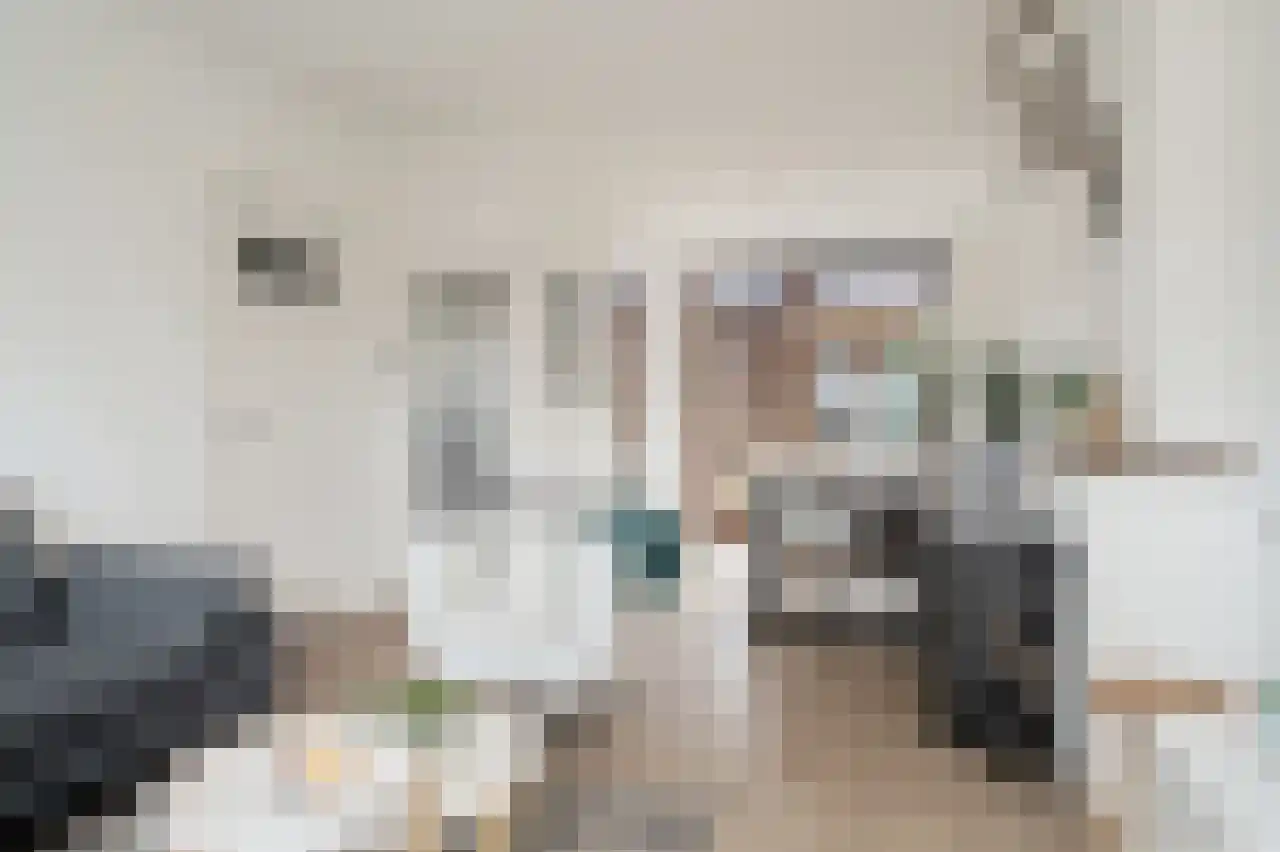 Tromplaan 4 Breda thumbnail 4