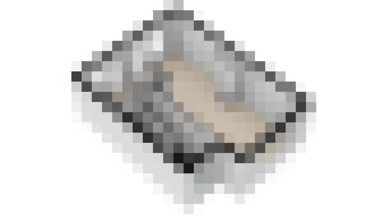 Tromplaan 4 Breda thumbnail 43