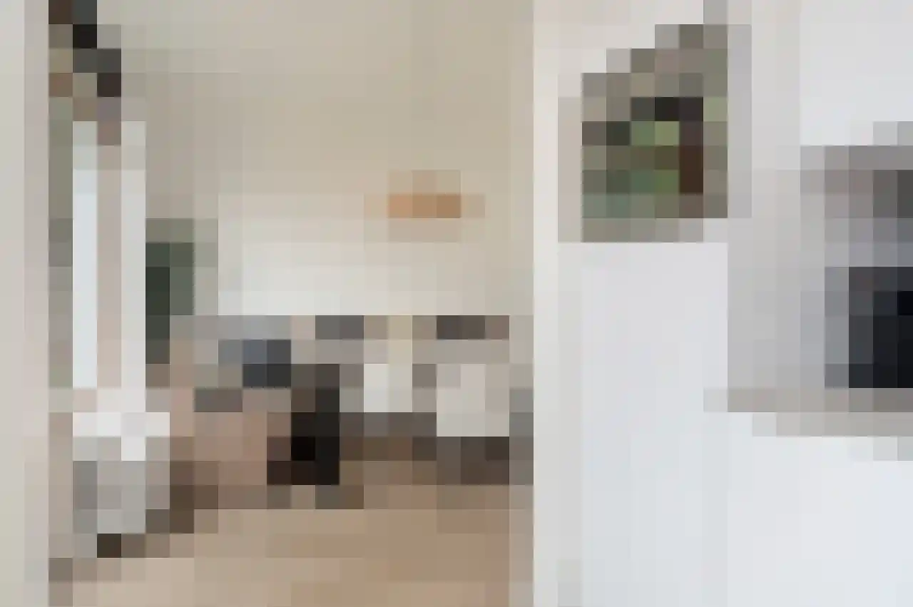 Tromplaan 4 Breda thumbnail 8