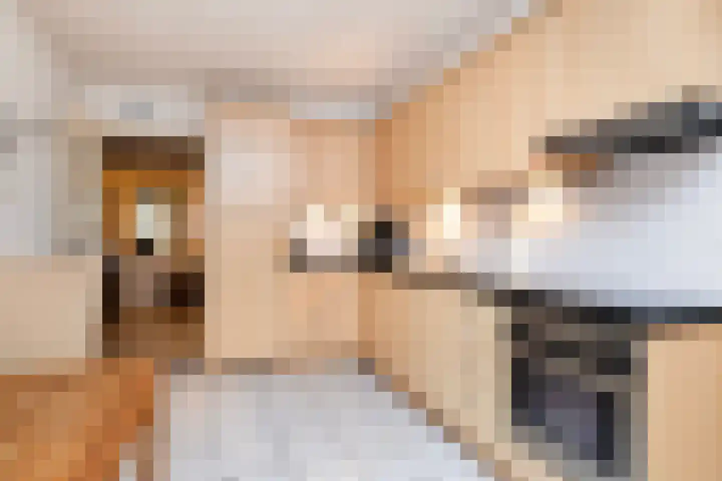 Tromplaan 4 Doorn thumbnail 17