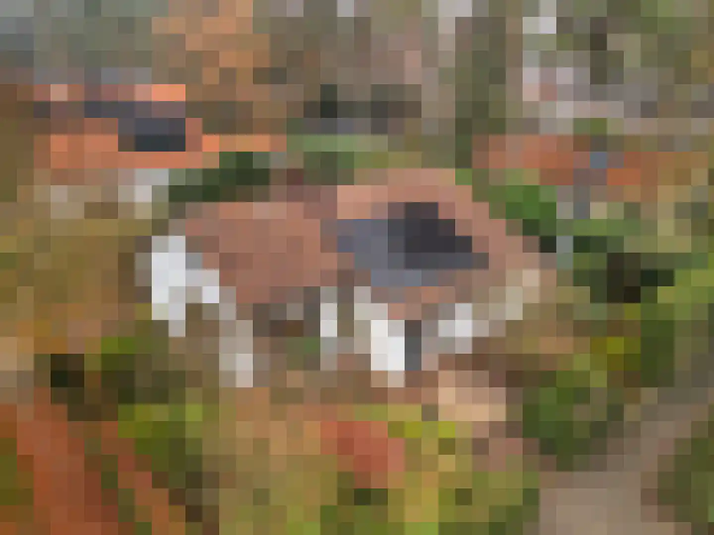 Tromplaan 4 Doorn thumbnail 32