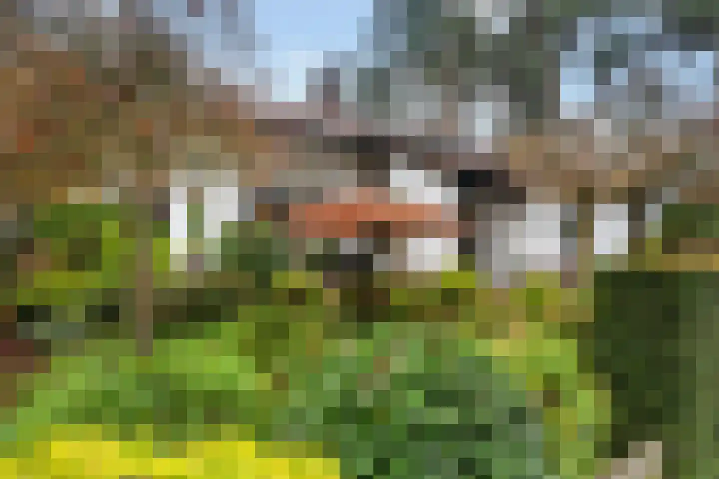 Tromplaan 4 Doorn thumbnail 33