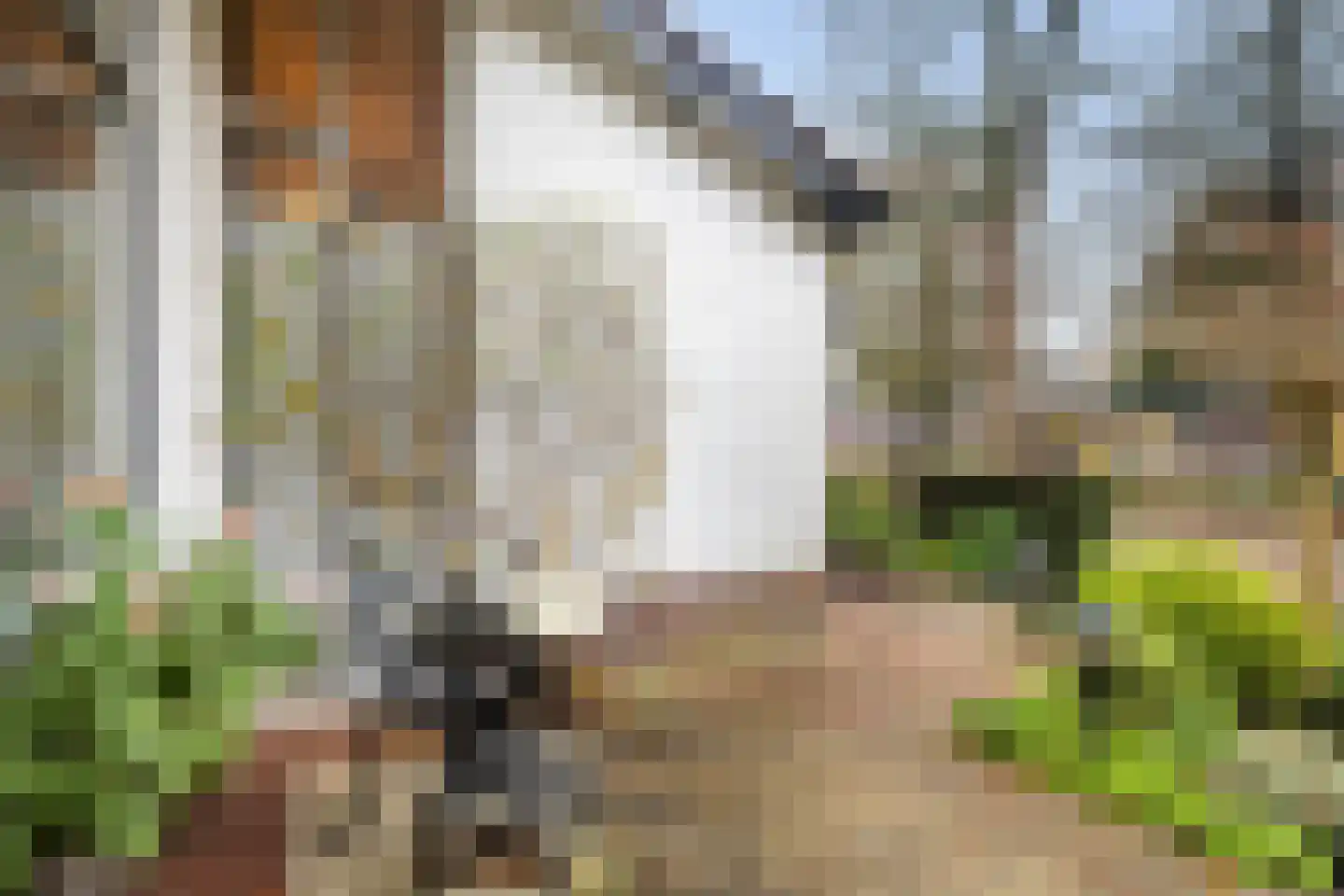 Tromplaan 4 Doorn thumbnail 34