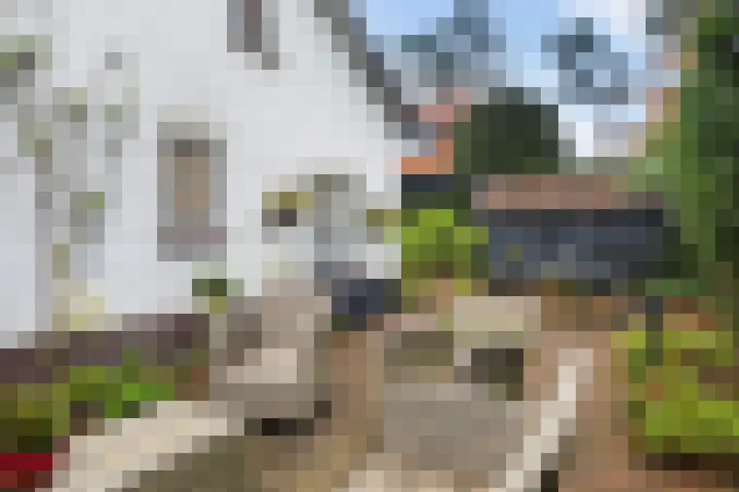 Tromplaan 4 Doorn thumbnail 41