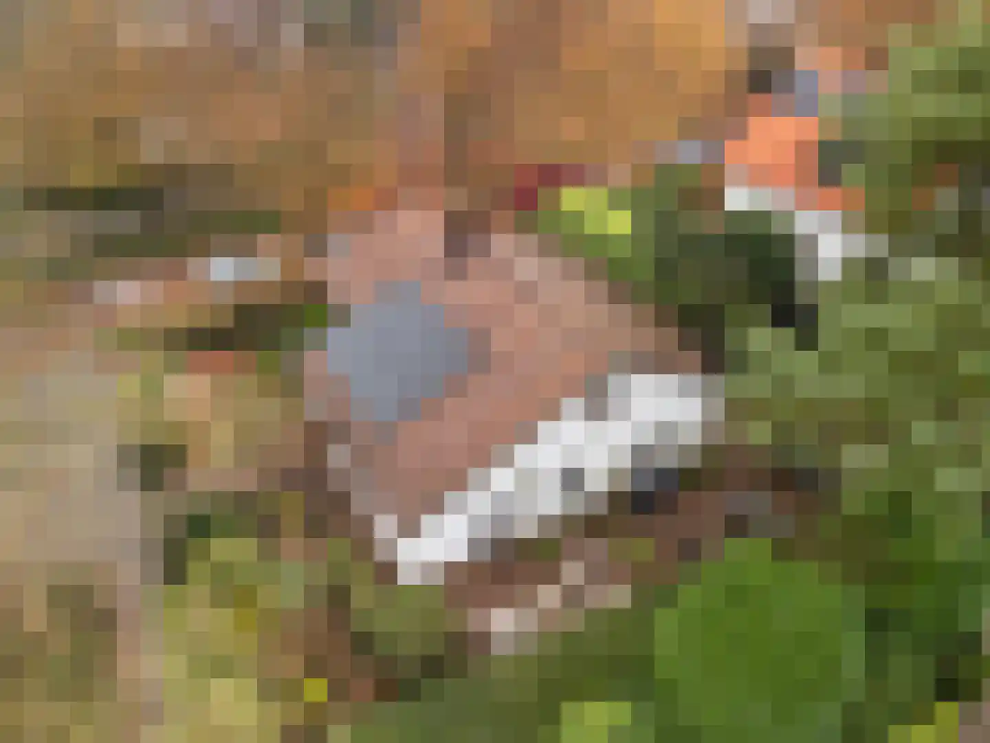 Tromplaan 4 Doorn thumbnail 43