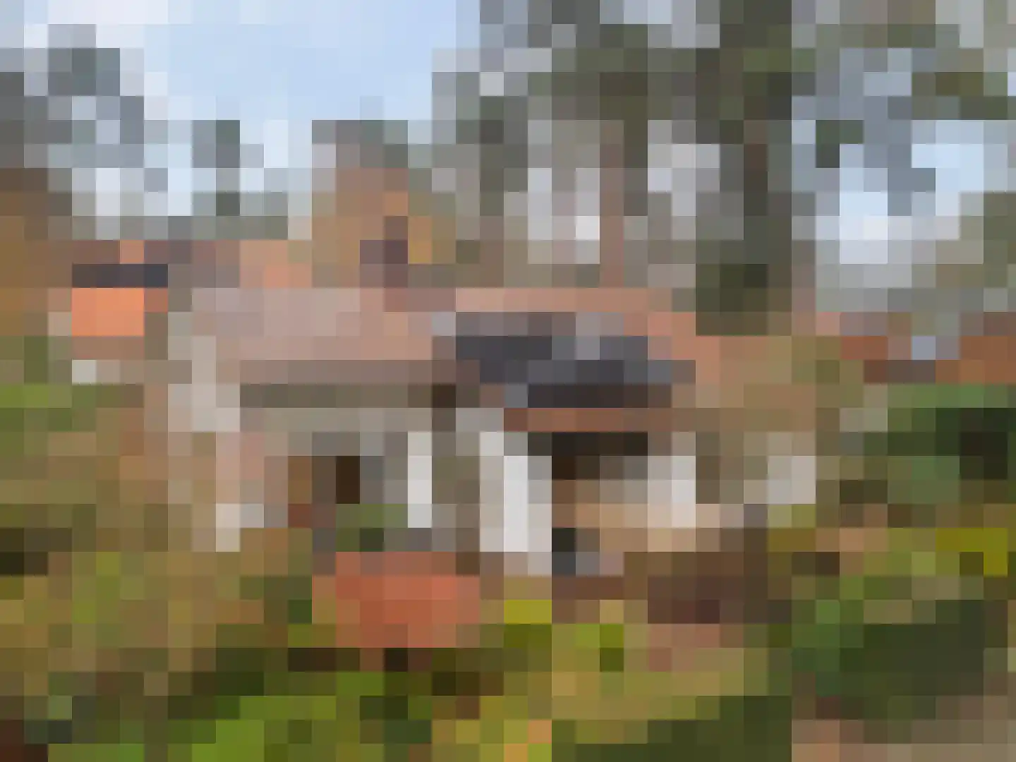 Tromplaan 4 Doorn thumbnail 5