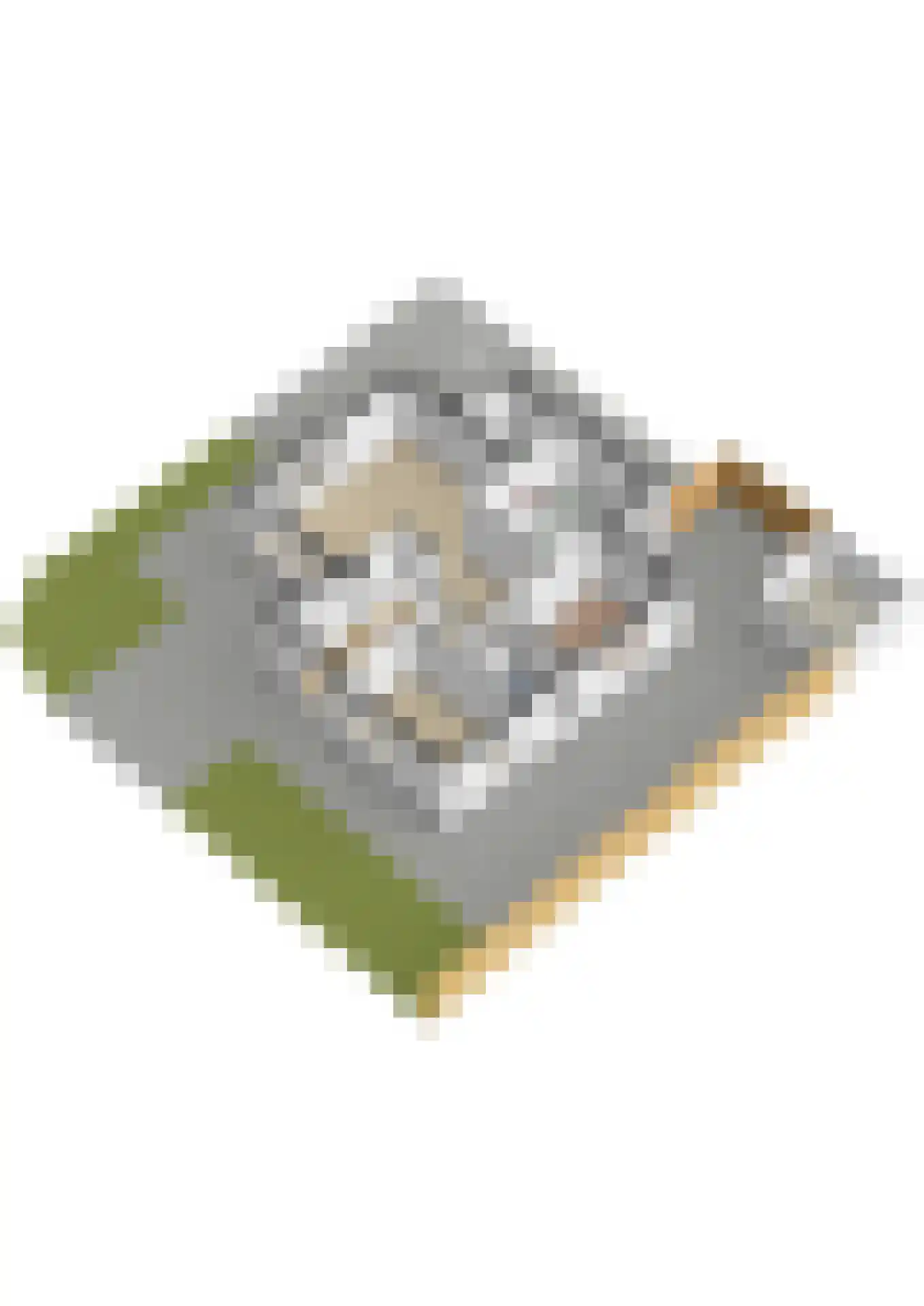 Tromplaan 4 Doorn thumbnail 53
