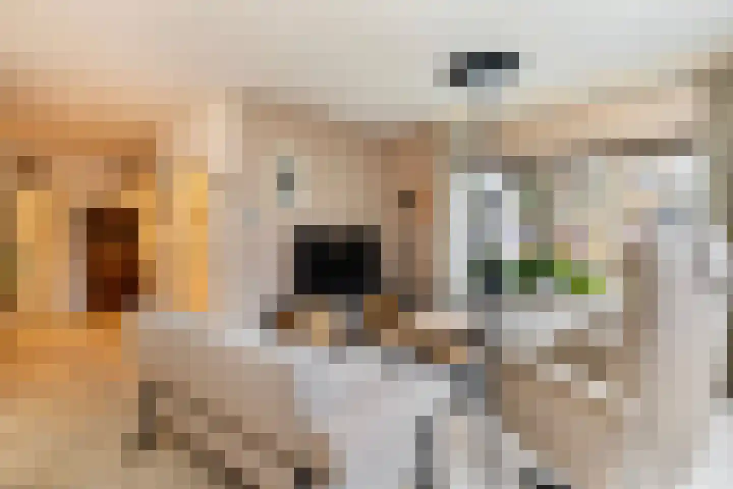 Tromplaan 4 Doorn thumbnail 8