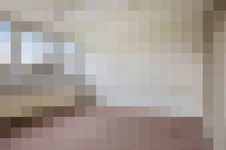 Tromplaan 45 Voorthuizen thumbnail 16