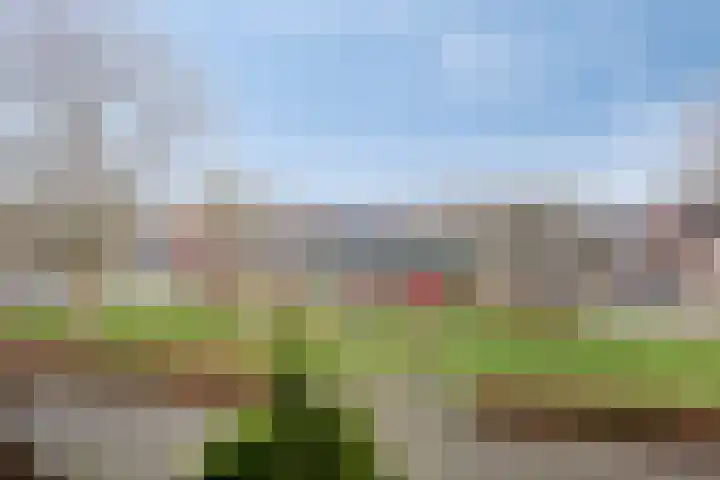 Tromplaan 45 Voorthuizen thumbnail 18
