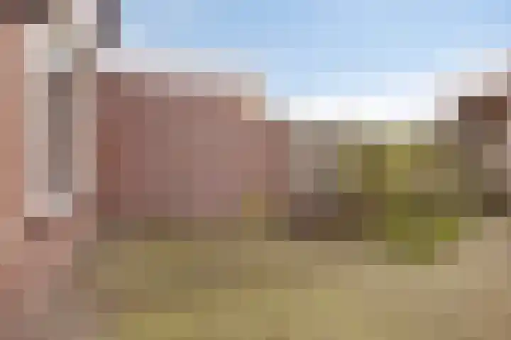 Tromplaan 45 Voorthuizen thumbnail 24