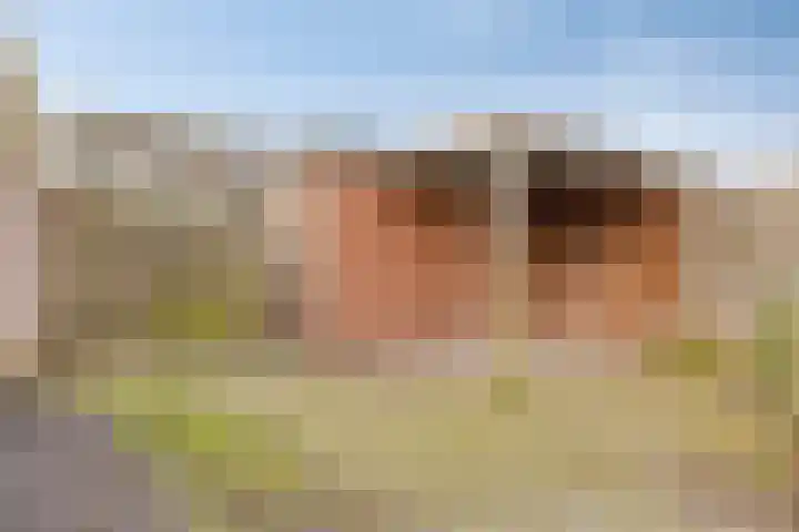 Tromplaan 45 Voorthuizen thumbnail 25