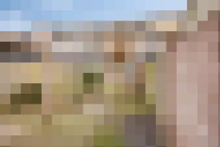 Tromplaan 45 Voorthuizen thumbnail 26