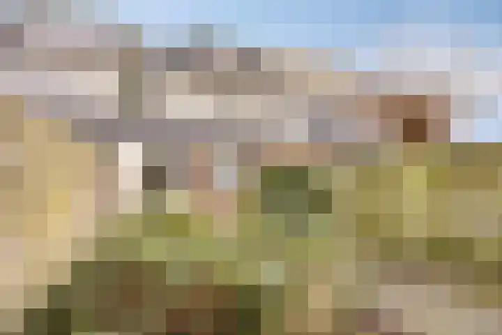 Tromplaan 45 Voorthuizen thumbnail 27